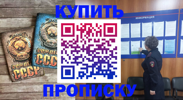 прописка для школы в Протвино